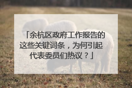 余杭区政府工作报告的这些关键词条，为何引起代表委员们热议？